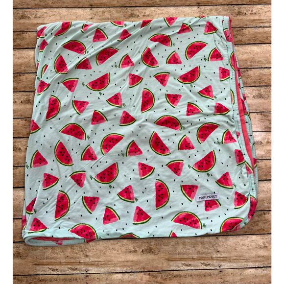 Posh Peanut Mellony Watermelon Bamboo Patoo Blanket 40x40" - Picture 1 of 7